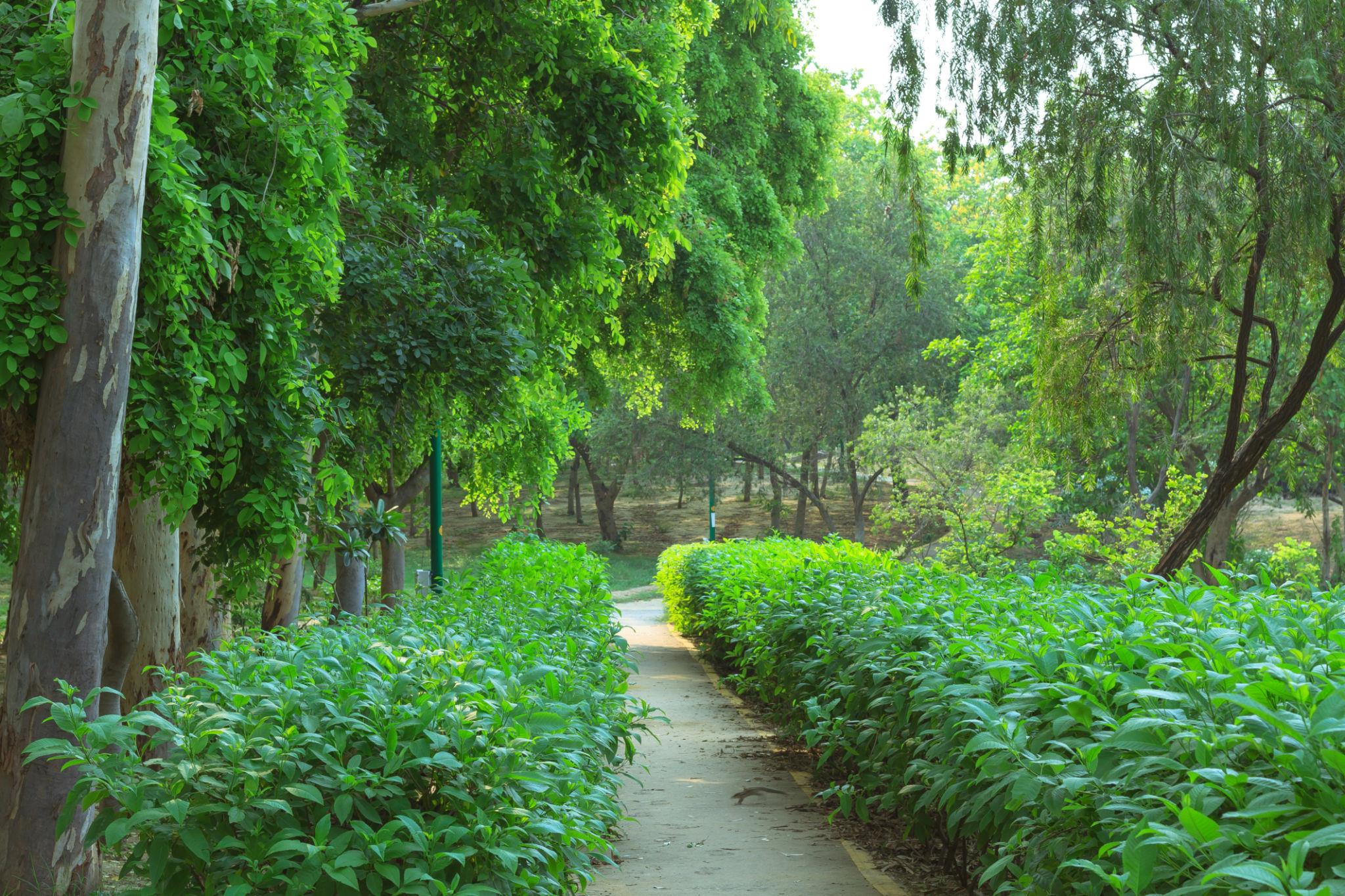 दिल्ली की गर्मी