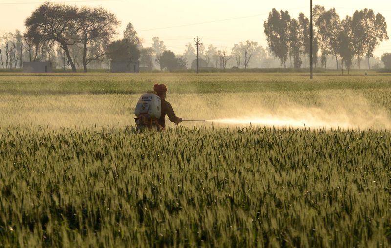 पंजाब की राजनीति, पहचान और भविष्य: क्या नया नेतृत्व बदल पाएगा तस्वीर?