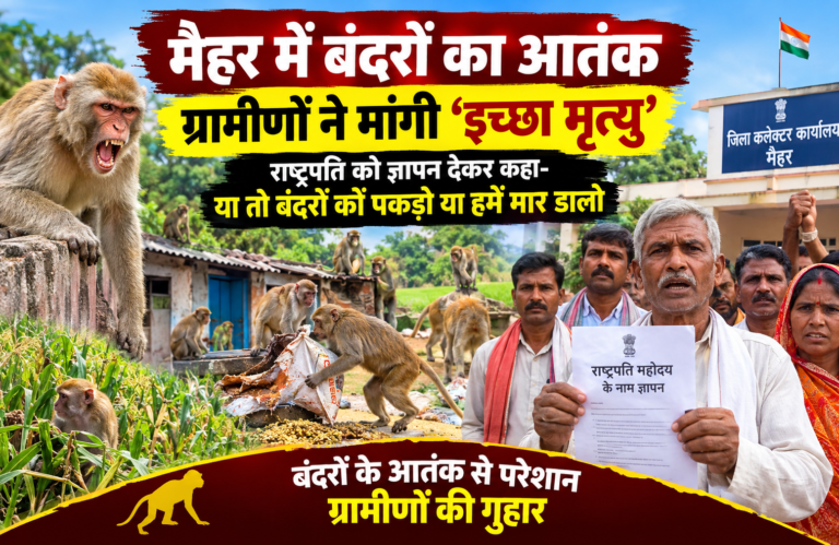 मैहर में बंदरों का आतंक: ग्रामीणों ने मांगी ‘इच्छा मृत्यु’